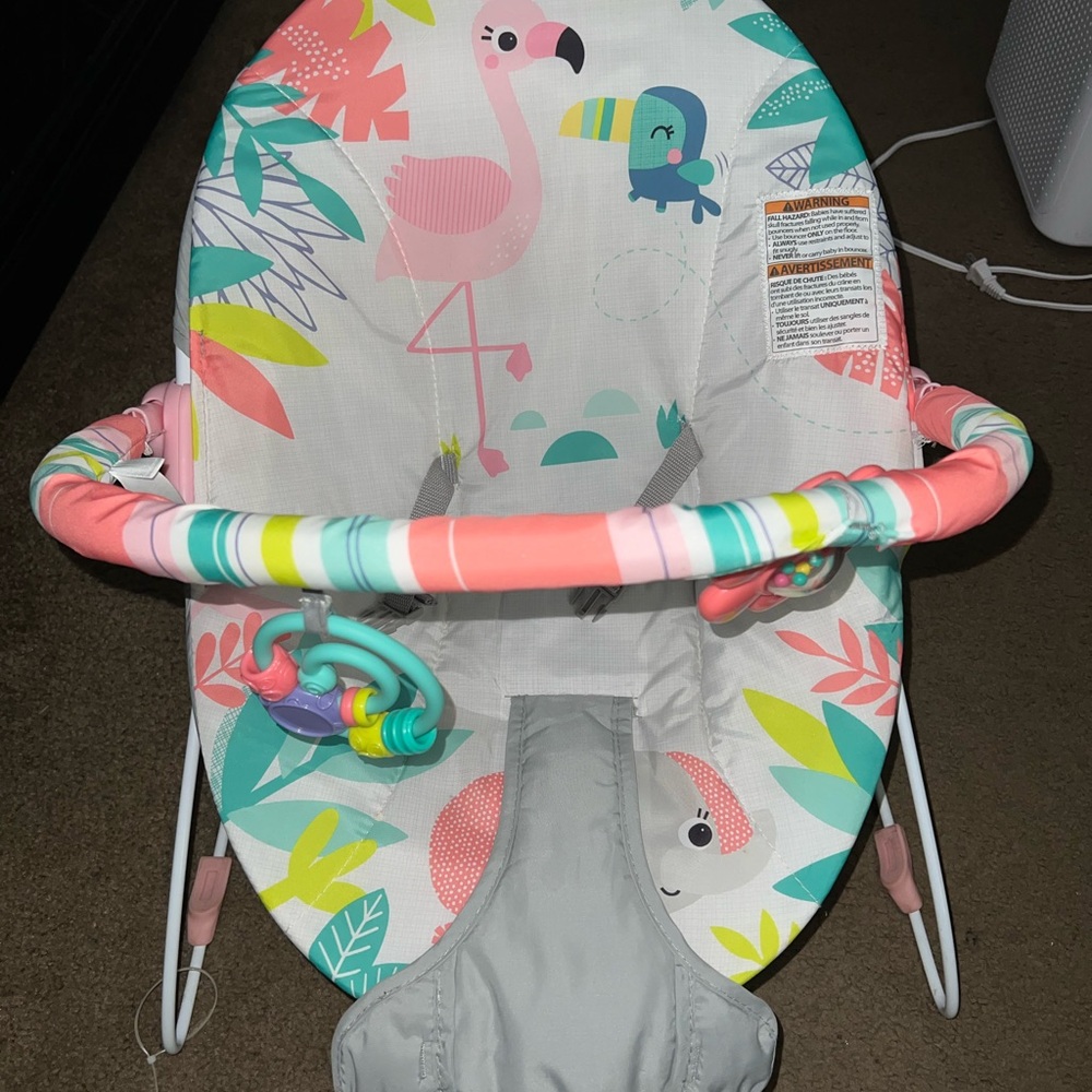 Colorful Baby Bouncer with Flamingo Design